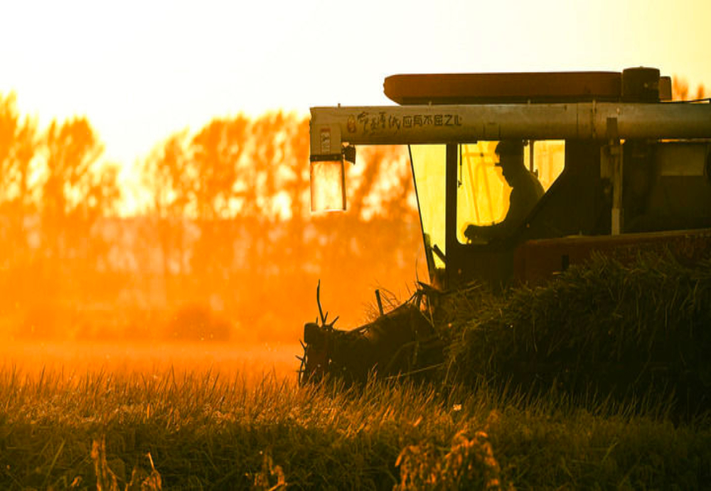 人文”与“经济”辉映共生AG真人国际双节相遇！“(图9)