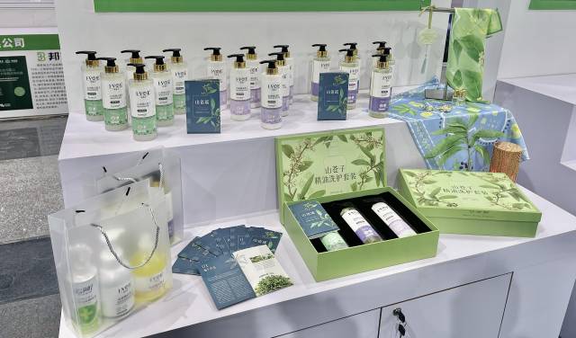 北山野“小辛香”如何迈向“大市场”AG真人登录一颗山苍子的新生:粤(图4) 北山野“小辛香”如何迈向“大市场”AG真人登录一颗山苍子的新生:粤(图4)